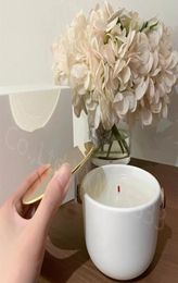 Factory direct designer luxuries Perfume Candle fragrance Solid 220g Dehors II Neige Feuilles d039Or lle Blanche L039Air du 8138881