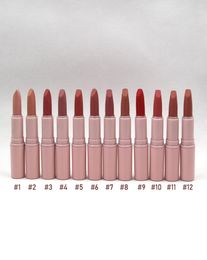 Pink Matte lipstick Shades Longlasting Easy to Wear Natural 12 Colours Makeup Wholesall Lip Stick2509354