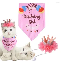 Dog Apparel Birthday Hat Hats For Cats Pet Decor Felt And Polyester Fabrics Not Easy To Fade Features A Stretchy Elastic Band