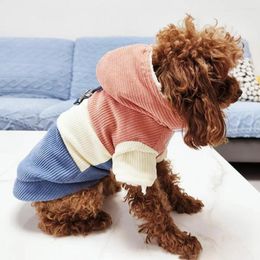 Dog Apparel Cotton Jacket Pretty Winter Pet Hoodie Two-legged Clothes Washable Padded Coat
