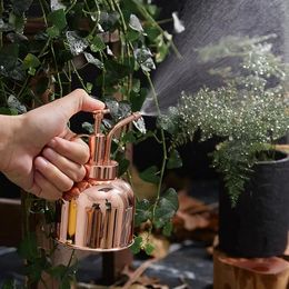 Retro Watering Can Stainless Steel Plant Pot Mini Vintage Gardening Sprayer for Succulents Plants 240507