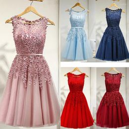 Party Dresses Prom Gown Beading Lace Sleeveless Short O-neck -length Pink Blue Tulle Plus Size Women Vestido Madrinha LX073
