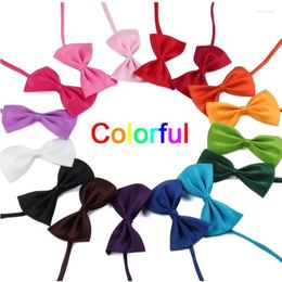 Dog Apparel Mix Colours 50pcs/lot Adjustable Pet Cat Bow Tie Necktie Collar Neck Supplies