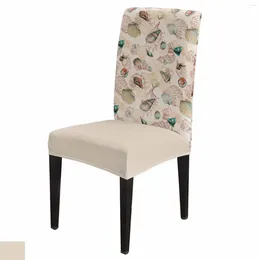Chair Covers Summer Ocean Shell Retro Dining Spandex Stretch Seat Cover For Wedding Kitchen Banquet Party Case