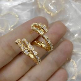 Dangle Earrings Designer Collection Style Women Lady Plated Gold Colour Inlaid Cubic Zircon Snake Snakelike Stud Ear Clip