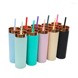 Mugs 16oz Straight Cup Frosted Double Plastic Straw Water Bottle Portable Plating Cap