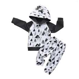 Clothing Sets 1-3Yrs Toddler Kids Girl Baby Spring Autumn Casual Long-sleeved Hooded Top And Pants With Plants Printing Outfit