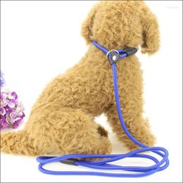 Dog Collars Quality Pet Leash Rope Nylon Adjustable Training Lead Strap Traction Harness Collar Puppy