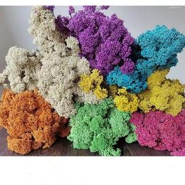 Decorative Flowers 50g Natural Millet Fruit Dried Flower Christmas Decorations For Home 2024 Fall Decor Items With Thanksgiving