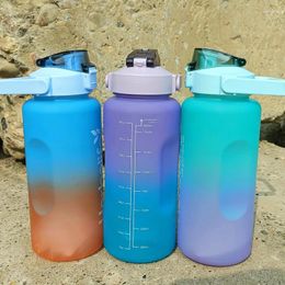 Water Bottles 4 Candy Colour Arrival 2000ml Big Capacity Frosted Sport Bottle With Straw Logo