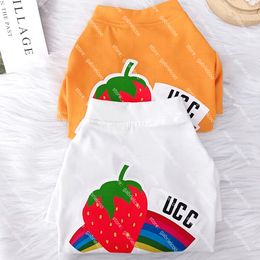 Designer Summer Pet T-shirt Orange Black and White Dog Strawberry Rainbow Print Clothes Schnauzer Teddy Fadou cat breathable short sleeve XS-XXXL