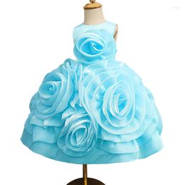 Girl Dresses Junior Bridesmaid Blue Organza Rosette Birthday Dress Knee-Length Ceremonies Wedding Party Princess Gown For 1-12 Girls Pink