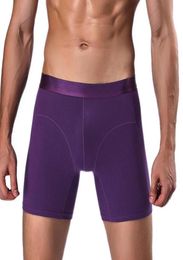Underpants Four Seasons Men039s Soft Boxer Shorts Long Ice Silk Breathable Wearresistant Briefs Solid Color5059413