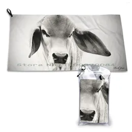 Towel Brahman Calf Portrait Wall Art Quick Dry Gym Sports Bath Portable Poddy Livestock Big Ears Tinpants