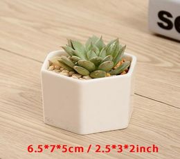 Ceramic Bonsai Pots Whole Mini White Porcelain Flowerpots Suppliers For Seeding Succulent Indoor Home Nursery Planters DBC BH43268732