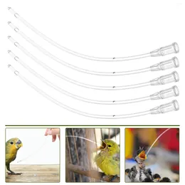 Other Bird Supplies 5 Pcs Baby Feeding Hose Small Gavage Tubes Birds Parrot Feeder Tool Food Dispenser Fittings Parts Plastic