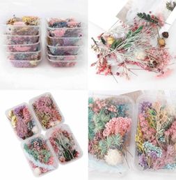 1 Box Real Dried Flower Dry Plants For Aromatherapy Candle Epoxy Resin Pendant Necklace Jewellery Making Craft DIY Accessories 1309 5076536