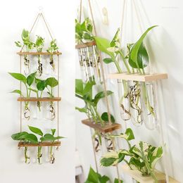 Vases Ins Hydroponic Plants Container With Wood Frame Wall Hanging Ornaments Test Tube Glass Planter Plant Propagation Tubes