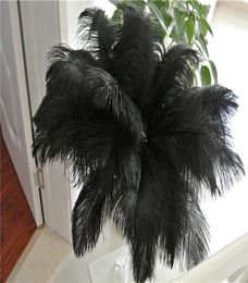 50pcs black Ostrich Feather Plume for Wedding centerpiece christmas feather wedding home festive table decor party supply1579908