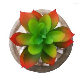 Decorative Flowers Simulated Succulent Plants Bonsai Sempervivum Arachnoideum Without Flowerpot Natural Artificial Flower Syzygium
