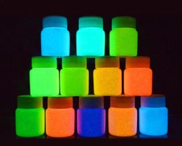 30glot Colorful Poluminescent Powder Luminous Phosphor Pigment For Body Face Skin DIY Paint Print Glow In Dark Dust Party Decorat4349584