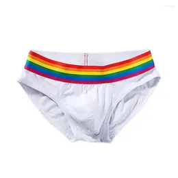 Underpants Men Briefs Mid-waist Colorful Rainbow Men's With Anti-septic Properties U Convex Design For Comfortable Sport