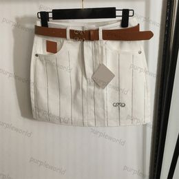 White Stripe Denim Skirt Designer Mini Skirt For Woman Summer Embroidery Vintage Dress