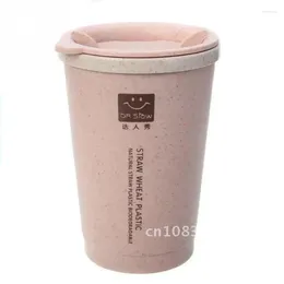 Water Bottles Double-wall Insulation 280ML Cup Wheat Fibre Straw Coffee Leakproof Travel Mug Creative Portable