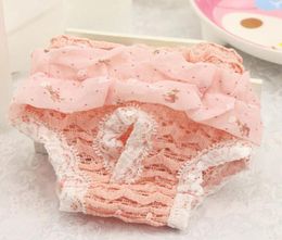 Dog Pets Cat Clothes Cotton Fashion Pink Blue Anti Harassment Pants Physiological Underwear Sanitary Briefs Jumpsuits9686617