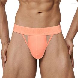 Underpants Men Gay Briefs Cotton Man Underwear Hollow Low Waist Sexy Mens Panties Slip U Convex Pouch Fashion Male AD796