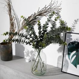 Decorative Flowers Simulated Plant Soft Plastic Eucalyptus Money Leaf Wedding Home Decoration Flower Green Bonsai