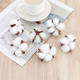 Decorative Flowers 1/10pcs Cotton Head Natural Dried Flower Artificial Home Christmas Decor DIY Garland Wreath Floral Wall Material