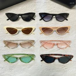 Sunglasses Fashion Cat Eye For Men Women Candy Colours Small Frame Sun Glasses Classic Triangle Outdoor Eyeglasses UV400