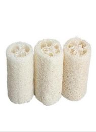 Whole New Mignon Natural Loofah Luffa Loofa Bath Shower Sponge Spa and Body Scrubber 1023985