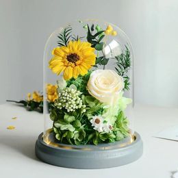 Decorative Flowers Sunflower Carnation Preserved Fresh With Glass Cover Valentine's Teacher's Mother's Day Gift Home Decoration