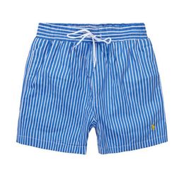 2018 Summer Mens Short Pants Brands Clothing Swimwear Nylon Men Brand Beach Shorts Small horse Swim Wear Board Shorts8594407