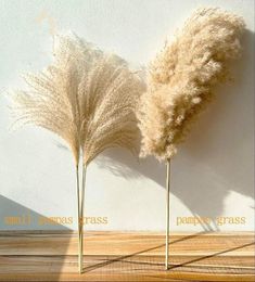 real pampas grass decor natural dried flowers plants wedding flowers dry flower bouquet fluffy lovely for holiday home decor 496941407733