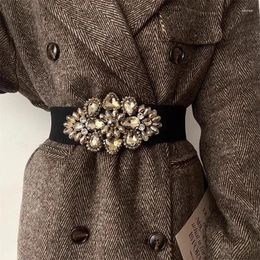 Belts Women's Fashion Shiny Diamonds Elastic Corset Female Cummerbund Coat Waistband Dress Decration Wide Belt J313