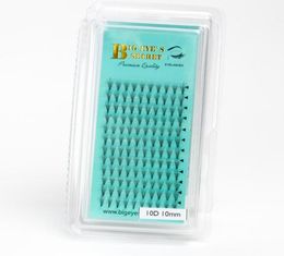 Big eye039s secret 1 tray 010mm thickness Volume 10D middle Eyelash Extensions Korea mink handmade Individual Lashes Fans Lash1997908