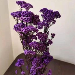 Decorative Flowers 50g Natural Millet Fruit Dried Flower Garden Decoration Outdoor Christmas Artificial For Gift