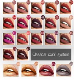 21PCSLOT PUDAIER Waterproof Velvet Liquid Lipstick Sexy Red Lip Tint 21 Colours Make up Long Lasting maquiagem Matte Nude Glossy g9487999