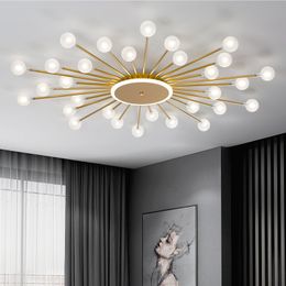 LED ceiling lighting fixtures living rooms bedrooms household light bulbs glass lampshades modern branched lighting chandeliers