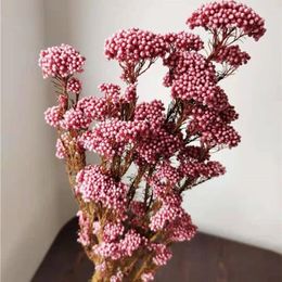 Decorative Flowers 50g Natural Millet Fruit Dried Flower Artificial Christmas Tree Wedding Gift For Guest Garden Decoration Outdoor Female