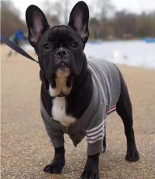 EPACK Knitting Stripe Dogs Outerwear Classic Letter Pet Coats Novelty Thick Puppy Cats Jackets Warmer Duck Down Clothes Winter Clo1627504