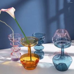 Vases Decoration Flower Home Terrarium Transparent Vase Living Room Decor Glass Hydroponic Plant Bottle