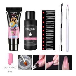 Nail Art Kits 5pcsKit Extension Set With Nial Tips Dual Form Qiuck Dry For Manicure Finger Brush9398419