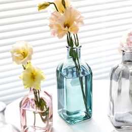 Vases Home Decoration Accessories Flower For Homes Colourful Glass Vase Transparent Simple Bottle Table Crafts Ornaments