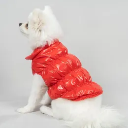 Dog Apparel Autumn Winter Pet Cat Down Coat Thickened Vest 2-legged Design Warm Soft Outwear Jacket Clothes Supplies