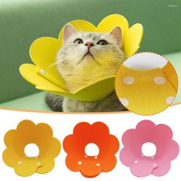 Cat Carriers Anti-lick Collar Pet Prevent Licking Wounds Healing Accessories Use Wound Products Cats E0X7