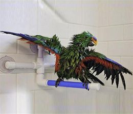 Other Bird Supplies Parrot Toys Bath Shower Standing Platform Rack Perch Parakeet Pet Accessories4515748